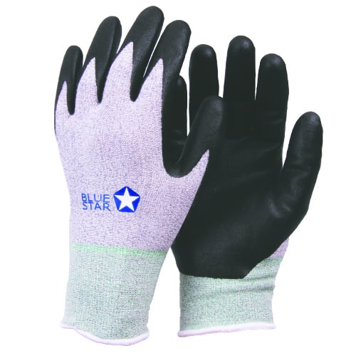 12 par BlueStar Vitae l, Bambus str. 8